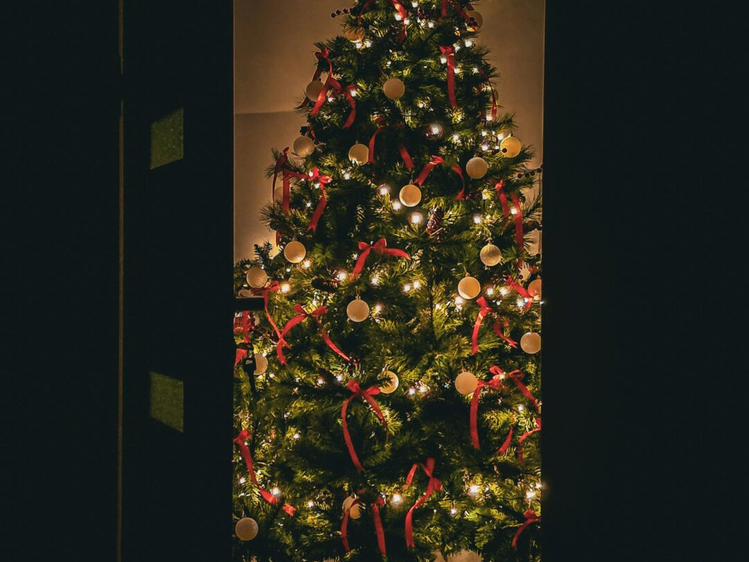 kerstboom door deur pexels free-cristina-tiris-225421306-35048367