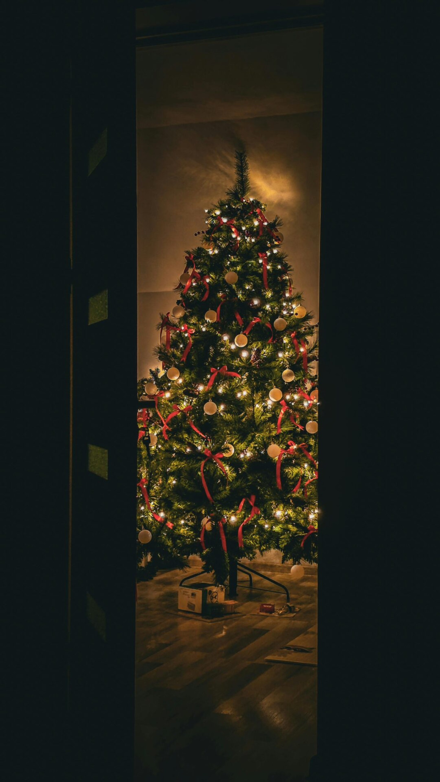 kerstboom door deur pexels free-cristina-tiris-225421306-35048367