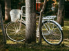 pexels-bike