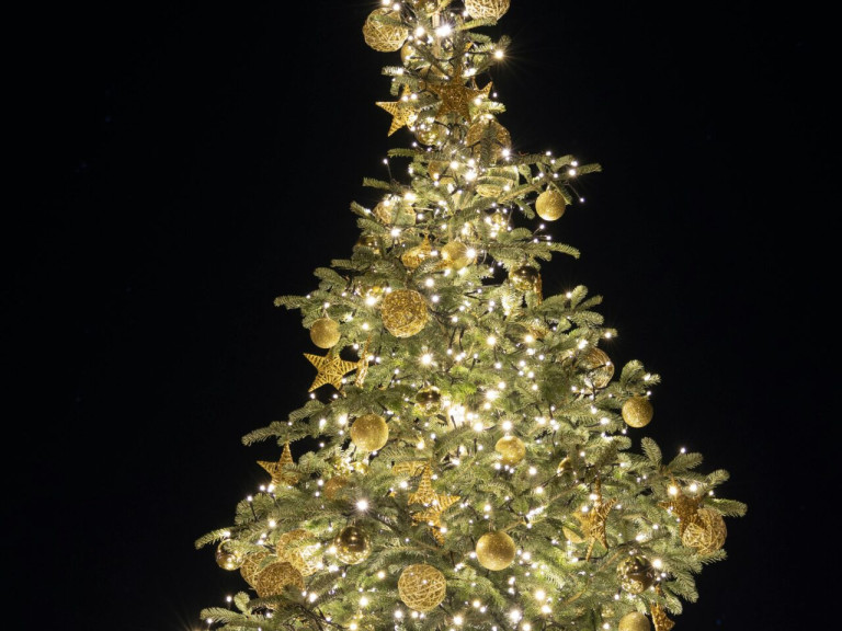 kerstboom in de nacht